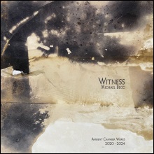 Michael Begg WITNESS. Ambient Chamber Works 2020-24 cover