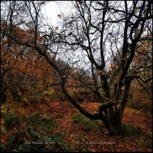 The Fields of Hay - A Circle of Skin cover